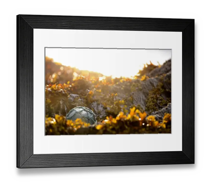Framed Print : USA, Southeast Alaska near Ketchikan, Japanese glass fishing float