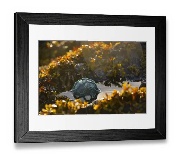 Framed Print : USA, Southeast Alaska near Ketchikan, Japanese glass fishing float Framed Print : USA, Southeast Alaska near Ketchikan, Japanese glass fishing float