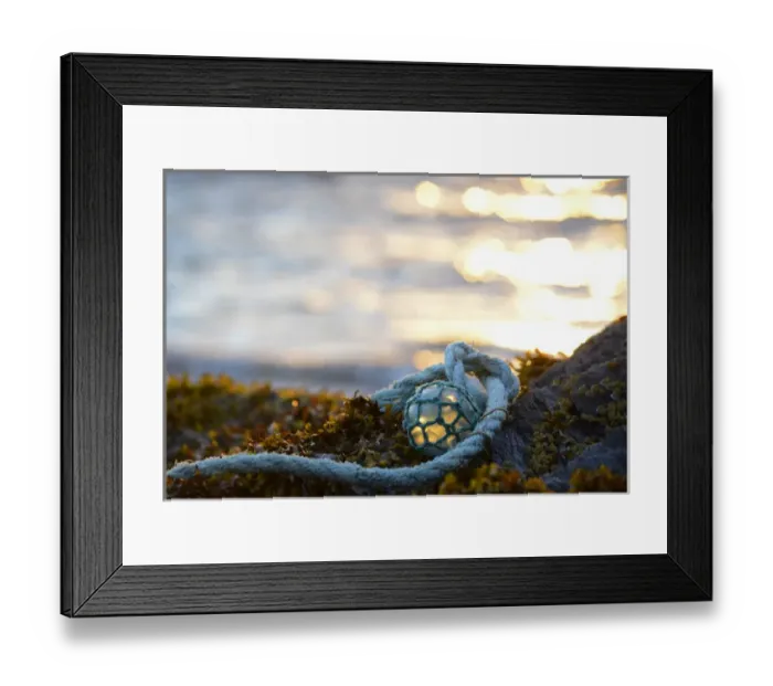 Framed Print : USA, Southeast Alaska near Ketchikan, Japanese glass fishing float Framed Print : USA, Southeast Alaska near Ketchikan, Japanese glass fishing float