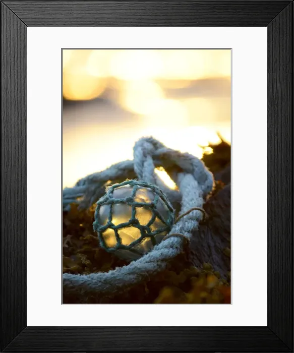 Framed Print : USA, Southeast Alaska near Ketchikan, Japanese glass fishing float Framed Print : USA, Southeast Alaska near Ketchikan, Japanese glass fishing float