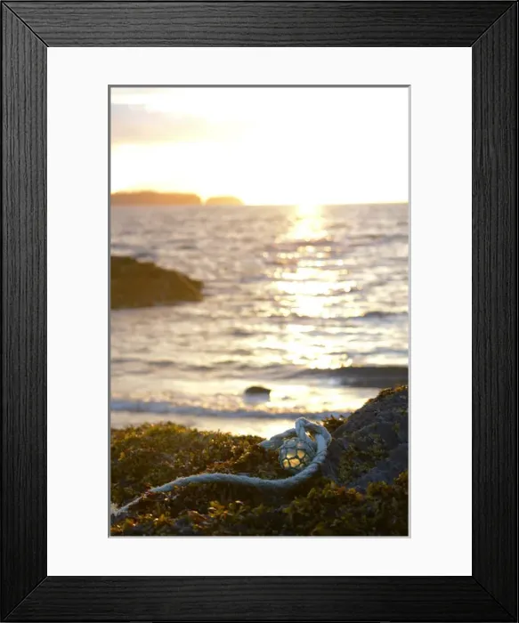 Framed Print : USA, Southeast Alaska near Ketchikan, Japanese glass fishing float