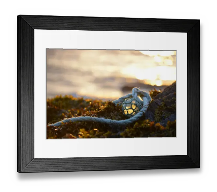 Framed Print : USA, Southeast Alaska near Ketchikan, Japanese glass fishing float