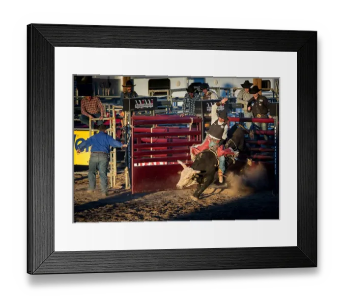 Framed Print : USA, Arizona, Buckeye, Hellzapoppin Arena. Cowboy rides bull at rodeo. Credit as
