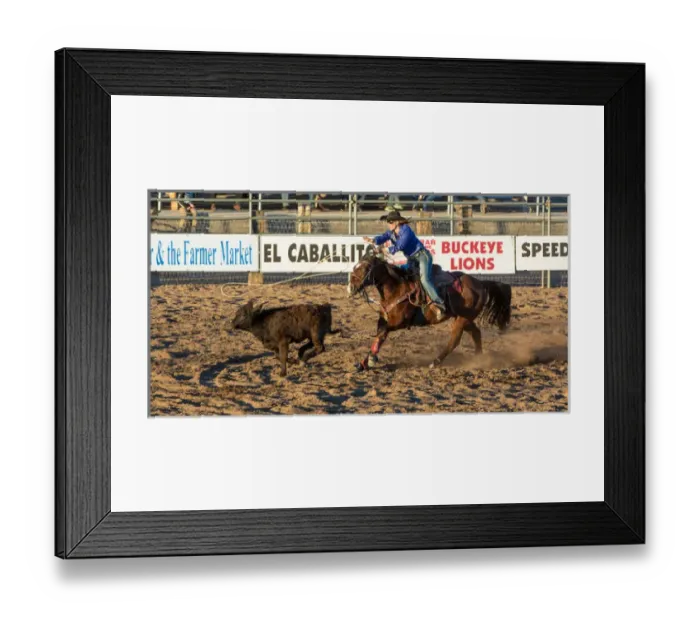 Framed Print : USA, Arizona, Buckeye, Hellzapoppin Arena. Cowgirl roping calf at rodeo. Credit as