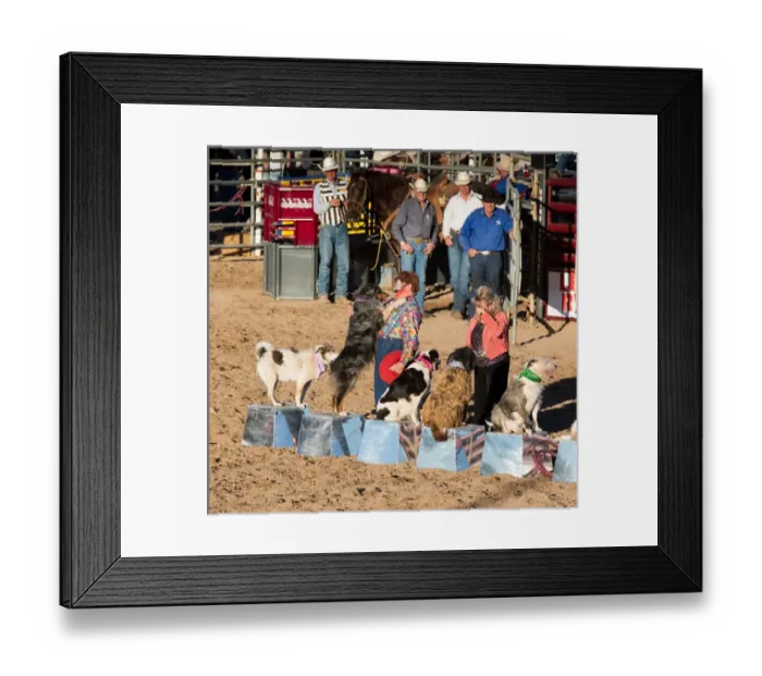 Framed Print : USA, Arizona, Buckeye, Hellzapoppin Arena. Clown and his dogs at rodeo. Credit as Framed Print : USA, Arizona, Buckeye, Hellzapoppin Arena. Clown and his dogs at rodeo. Credit as