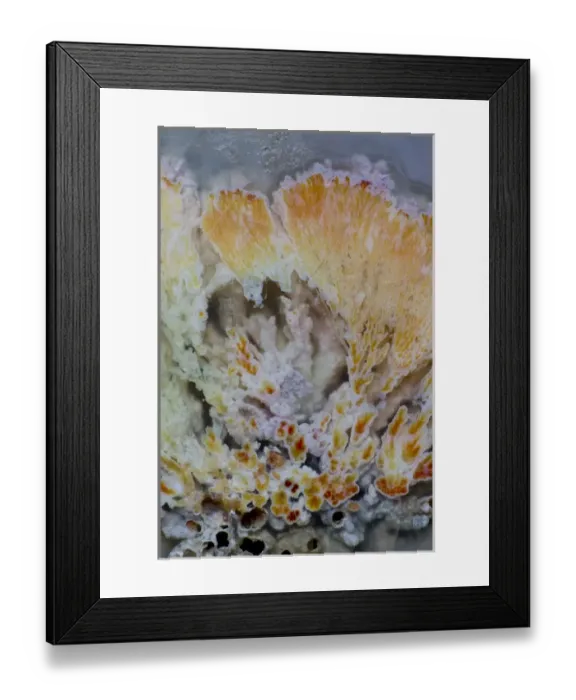 Framed Print : Flowering Plume Agate, Quartzsite Arizona Framed Print : Flowering Plume Agate, Quartzsite Arizona
