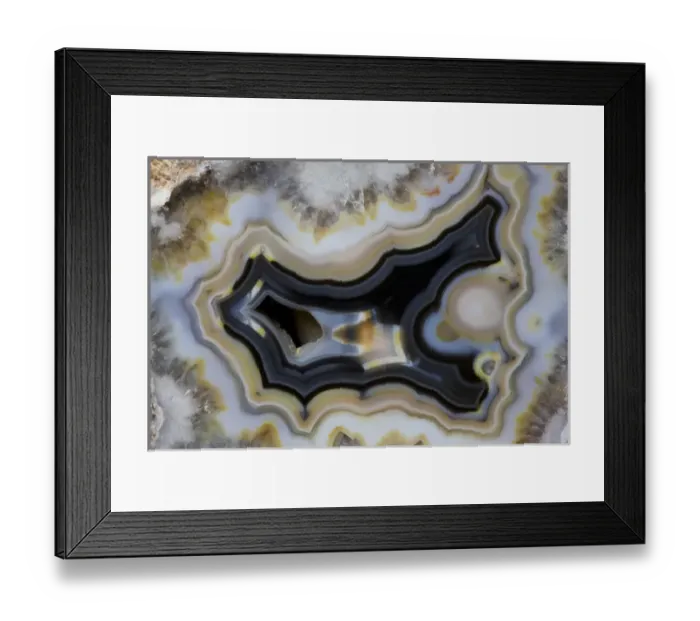 Framed Print : Banded Agate, Quartzsite, AZ Framed Print : Banded Agate, Quartzsite, AZ