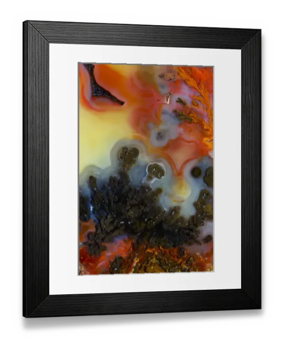 Framed Print : Plume Agate, Quartzsite, AZ Framed Print : Plume Agate, Quartzsite, AZ