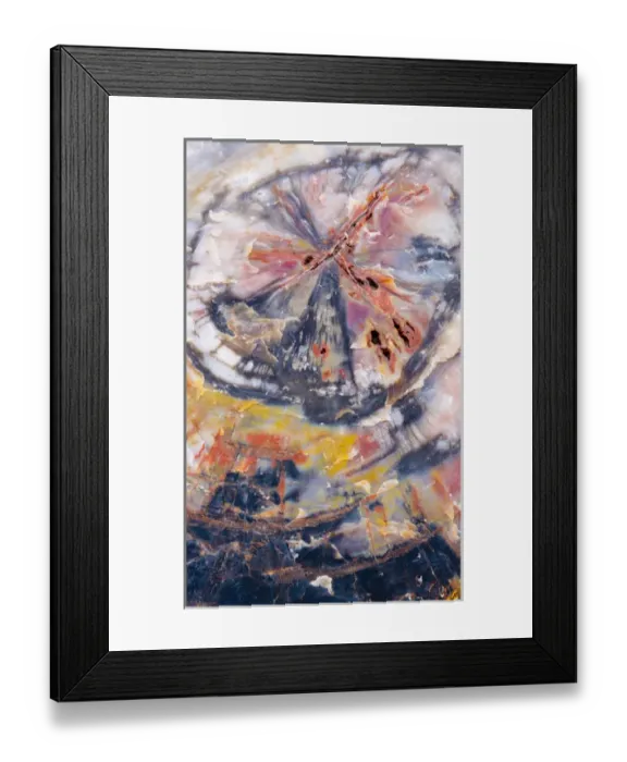 Framed Print : USA, Arizona, Petrified Forest National Park Framed Print : USA, Arizona, Petrified Forest National Park