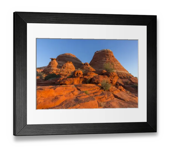 Framed Print : Layered sandstone and desert wildflowers in the Vermillion Cliffs Wilderness, Arizona Framed Print : Layered sandstone and desert wildflowers in the Vermillion Cliffs Wilderness, Arizona