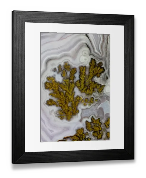 Framed Print : Plume Agate, Quartzsite, AZ Framed Print : Plume Agate, Quartzsite, AZ