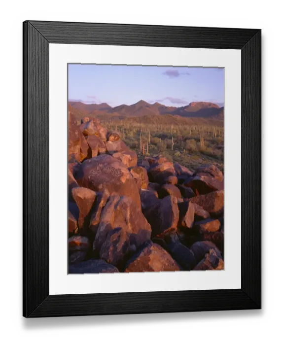 Framed Print : USA, Arizona, Saguaro National Park, Tucson Mountain District, Sunset light defines Framed Print : USA, Arizona, Saguaro National Park, Tucson Mountain District, Sunset light defines