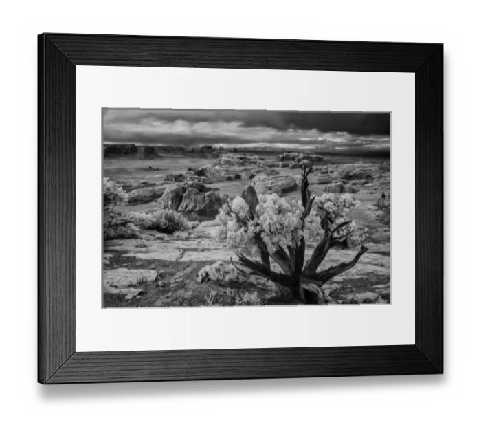 Framed Print : View from atop Hunts Mesa in Monument Valley Tribal Park of the Navajo Nation, AZ Framed Print : View from atop Hunts Mesa in Monument Valley Tribal Park of the Navajo Nation, AZ