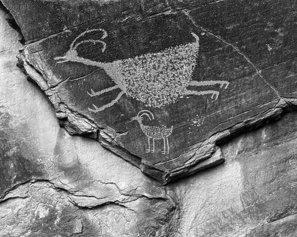 Mystery Valley Petroglyph Monument Valley Arizona USA