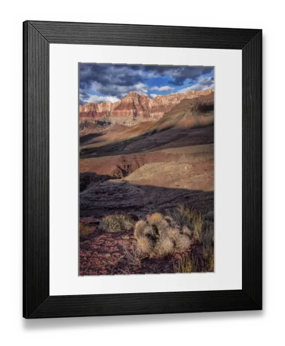 Framed Print : USA Arizona Grand Canyon Colorado River Float Trip Cardinas Creek and Cactus Framed Print : USA Arizona Grand Canyon Colorado River Float Trip Cardinas Creek and Cactus