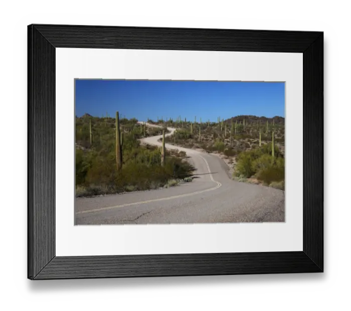 Framed Print : North America, USA, Arizona, Organ Pipe Cactus National Monument. Highway 85 Framed Print : North America, USA, Arizona, Organ Pipe Cactus National Monument. Highway 85