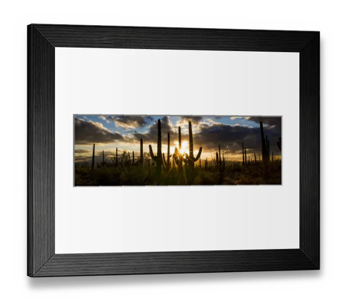 Framed Print : USA, Arizona, Tucson, Saguaro National Park, Tucson Mountain District