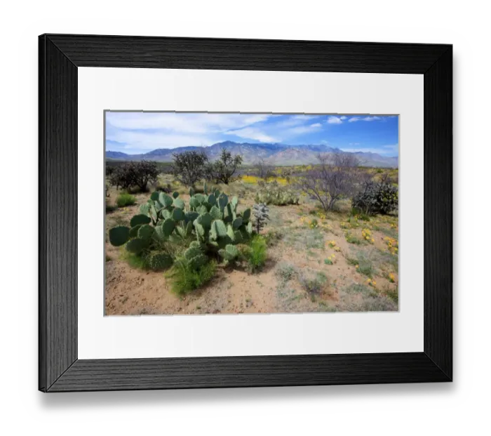 Framed Print : Hwy 191 Arizona: Pinaleno Mountains seen across the desert along Highway 191, with Framed Print : Hwy 191 Arizona: Pinaleno Mountains seen across the desert along Highway 191, with