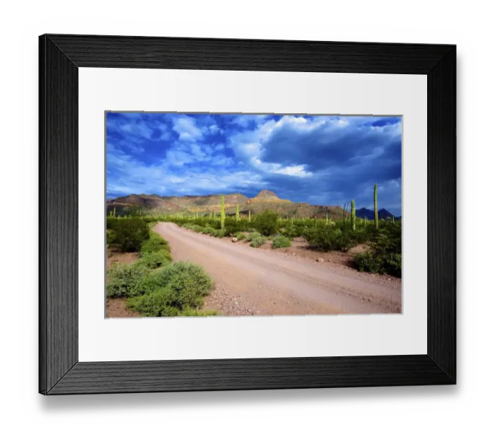 Framed Print : Organ Pipe Cactus National Monument: Ajo Mountain Drive winds through the desert forest of Saguaro Framed Print : Organ Pipe Cactus National Monument: Ajo Mountain Drive winds through the desert forest of Saguaro