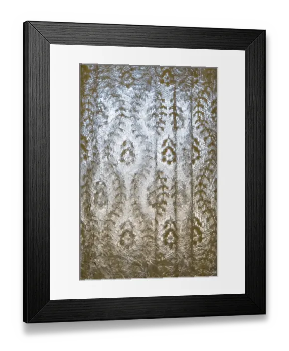 Framed Print : USA, Arkansas, Hot Springs. Lace curtain at Fordyce Bath House