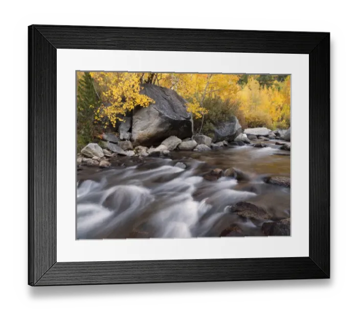 Framed Print : USA, California, Eastern Sierra, Aspens along North Fork of Bishop Creek Framed Print : USA, California, Eastern Sierra, Aspens along North Fork of Bishop Creek
