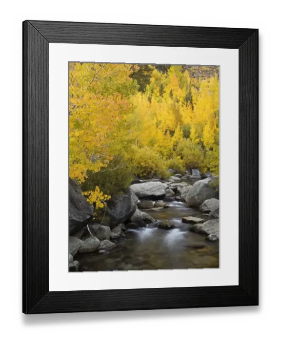 Framed Print : USA, California, Eastern Sierra, Bishop Creek during autumn Framed Print : USA, California, Eastern Sierra, Bishop Creek during autumn
