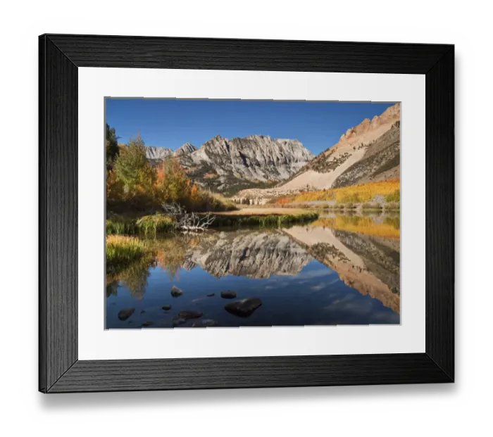 Framed Print : USA, California, Eastern Sierra, Fall color reflected in North Lake