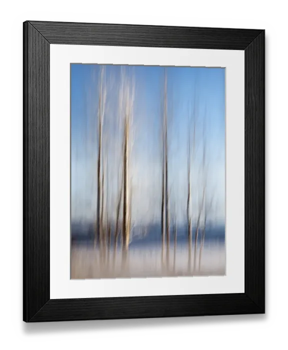 Framed Print : USA, California, Lake Tahoe, Abstract of bare aspen trees and snow at Carnelian Bay Framed Print : USA, California, Lake Tahoe, Abstract of bare aspen trees and snow at Carnelian Bay