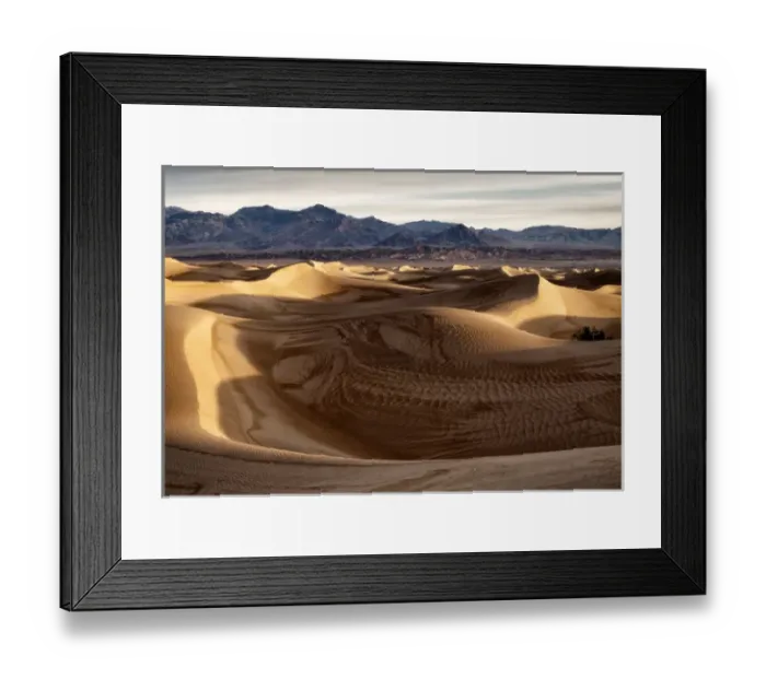 Framed Print : USA, California, Death Valley National Park, Mesquite Flat Dunes after rain Framed Print : USA, California, Death Valley National Park, Mesquite Flat Dunes after rain