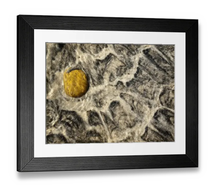 Framed Print : USA, California, Encinitas, Rock in sand and water at beach Framed Print : USA, California, Encinitas, Rock in sand and water at beach