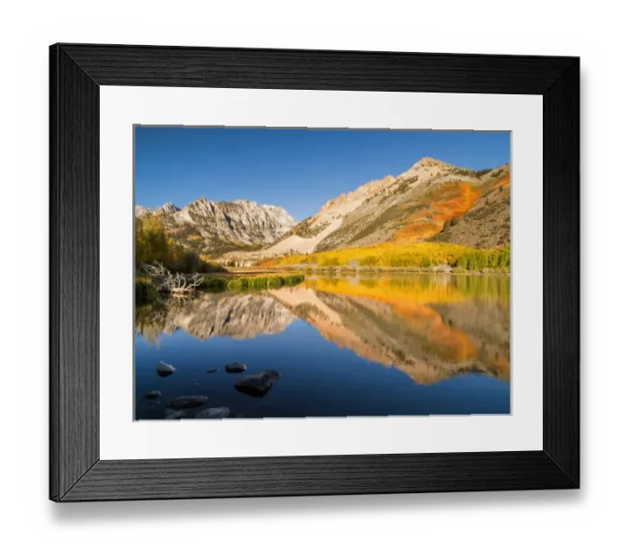 Framed Print : USA, California, Eastern Sierra, Fall color reflected in North Lake