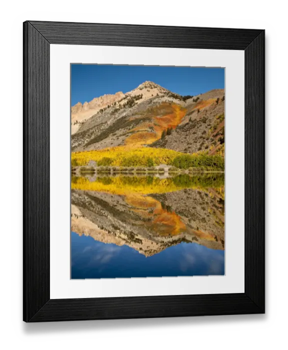 Framed Print : USA, California, Eastern Sierra, Fall color reflected in North Lake Framed Print : USA, California, Eastern Sierra, Fall color reflected in North Lake