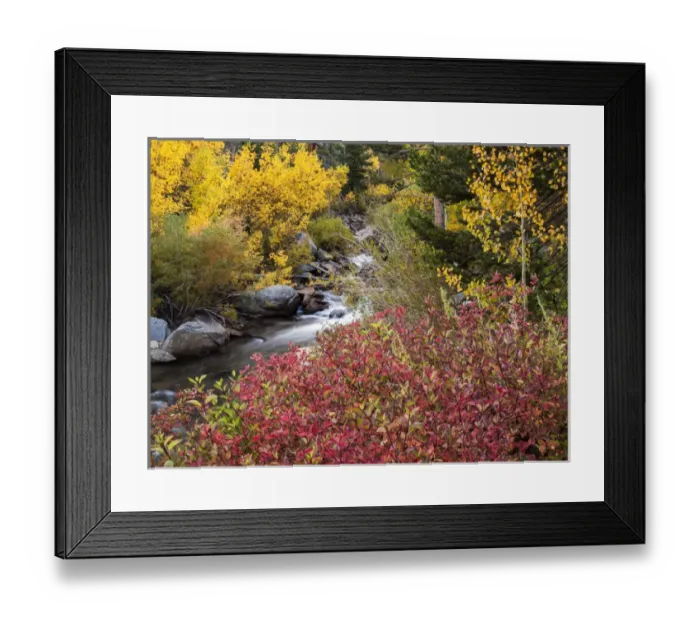 Framed Print : USA, California, Eastern Sierra, North Fork of Bishop Creek Framed Print : USA, California, Eastern Sierra, North Fork of Bishop Creek