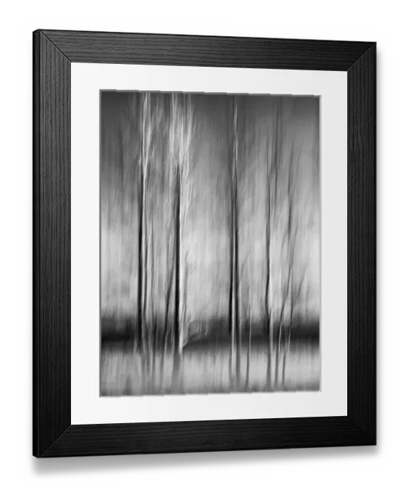 Framed Print : USA, California, Lake Tahoe, Abstract of bare aspen trees and snow at Carnelian Bay Framed Print : USA, California, Lake Tahoe, Abstract of bare aspen trees and snow at Carnelian Bay