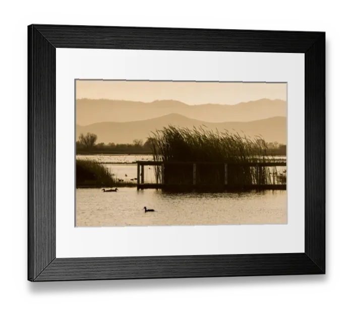 Framed Print : USA: California, Central Valley, San Joaquin River Valley, San Luis National Wildlife Refuge