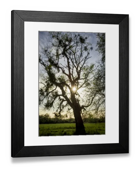 Framed Print : USA: California, Knights Landing, Fremont Weir Wildlife Area on the Sacramento River Framed Print : USA: California, Knights Landing, Fremont Weir Wildlife Area on the Sacramento River