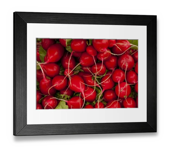 Framed Print : USA: California, Santa Barbara, Lower State Street, Farmers Market, red radishes Framed Print : USA: California, Santa Barbara, Lower State Street, Farmers Market, red radishes