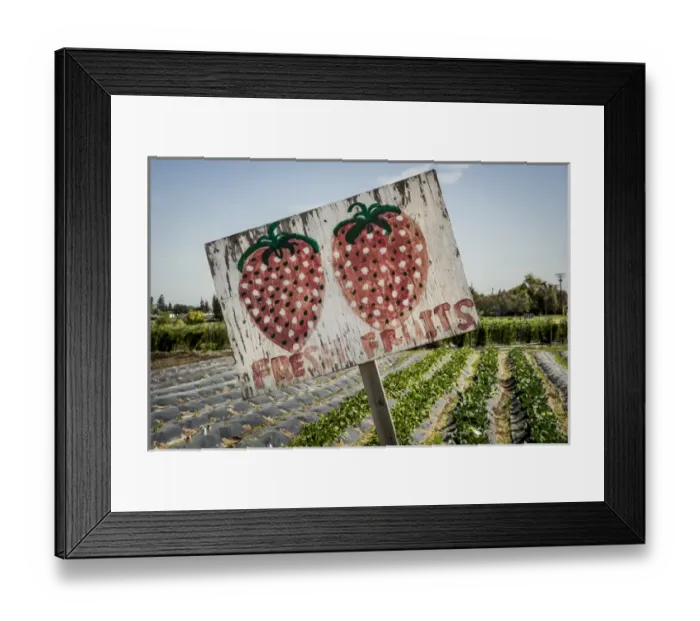 Framed Print : USA: California, Central Valley, San Joaquin River Valley, Modesto, Aan Saechaos garden