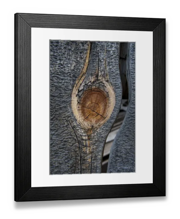 Framed Print : USA, California, Bodie State Park. Weathered tree knot Framed Print : USA, California, Bodie State Park. Weathered tree knot