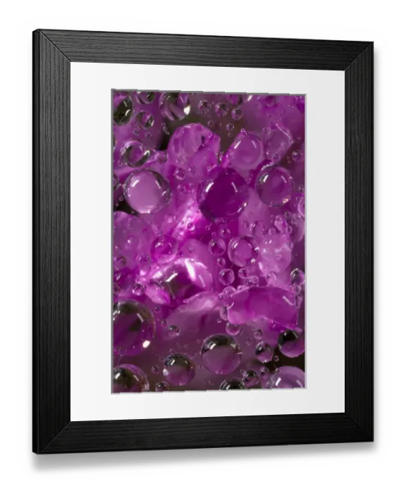 Framed Print : USA, California. Water droplets on a spider web Framed Print : USA, California. Water droplets on a spider web