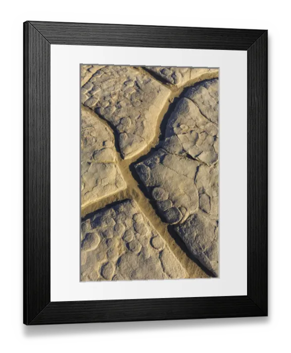 Framed Print : Dried mud cracks of ancient lakebed in The Mesquite sand dunes in Death Valley National Park Framed Print : Dried mud cracks of ancient lakebed in The Mesquite sand dunes in Death Valley National Park