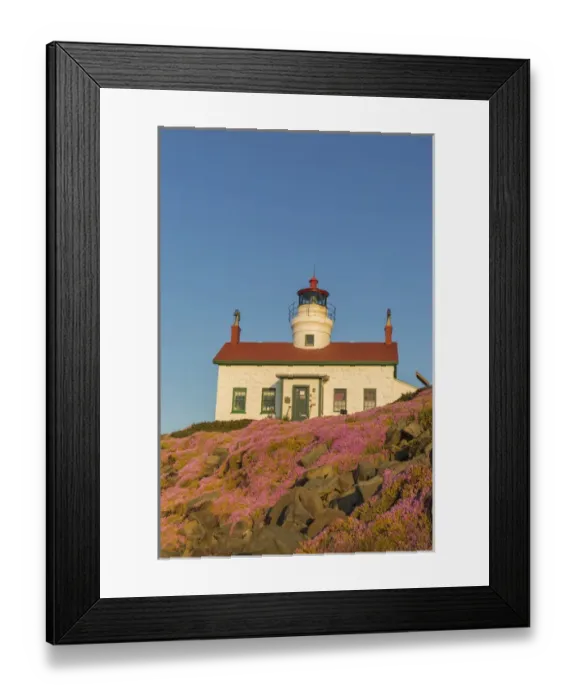 Framed Print : Battery Point Lighthouse in Crescent City, California, USA