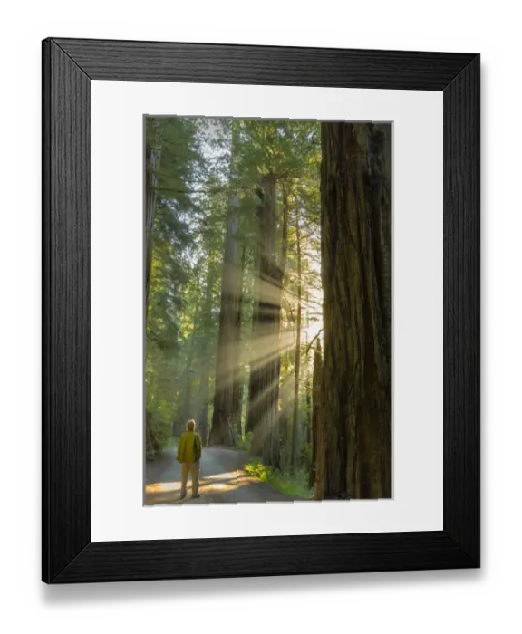 Framed Print : Self portrait in god rays among giant redwood trees in Jebediah, Smith State Park