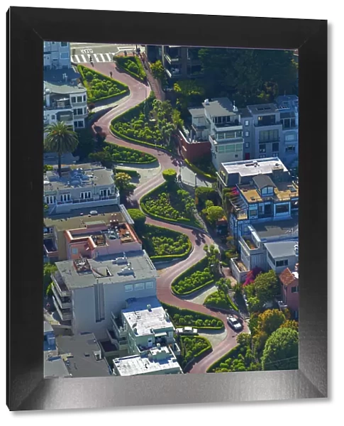 USA, California, San Francisco - Lombard Street (claimed to be the worlds crookedest street)