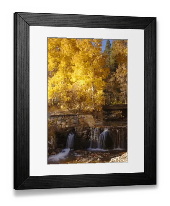 Framed Print : A small stream cascades over a rock dam amid fall aspens in the Sierra