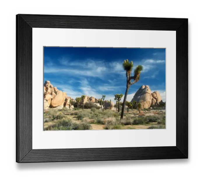 Framed Print : Joshua Trees (yucca brevifolia) among the large granite rocks of Joshua Tree National