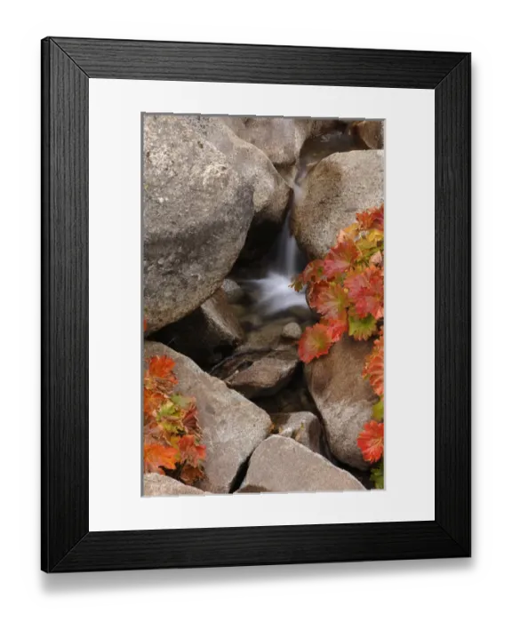 Framed Print : A small waterfall on a creek in the El Dorado National Forest in Callifornia s Framed Print : A small waterfall on a creek in the El Dorado National Forest in Callifornia s
