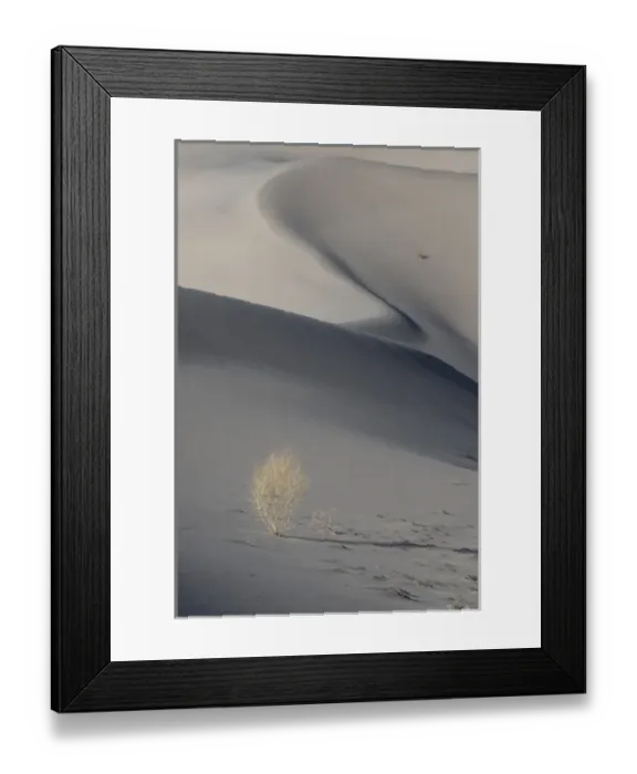 Framed Print : North America, USA, California, Death Valley National Park. Sunset shadow on dunes Framed Print : North America, USA, California, Death Valley National Park. Sunset shadow on dunes