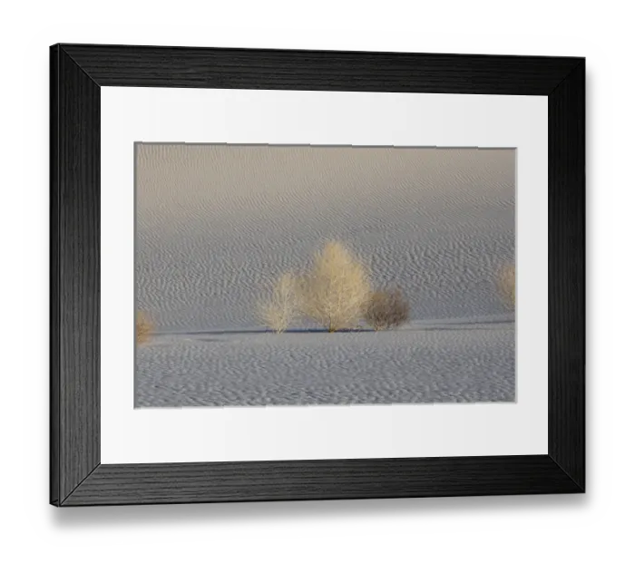 Framed Print : North America, USA, California, Death Valley National Park Framed Print : North America, USA, California, Death Valley National Park