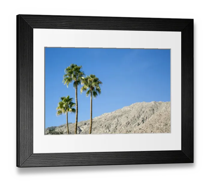 Framed Print : Scenic of palm trees, Palm Springs, California, USA Framed Print : Scenic of palm trees, Palm Springs, California, USA